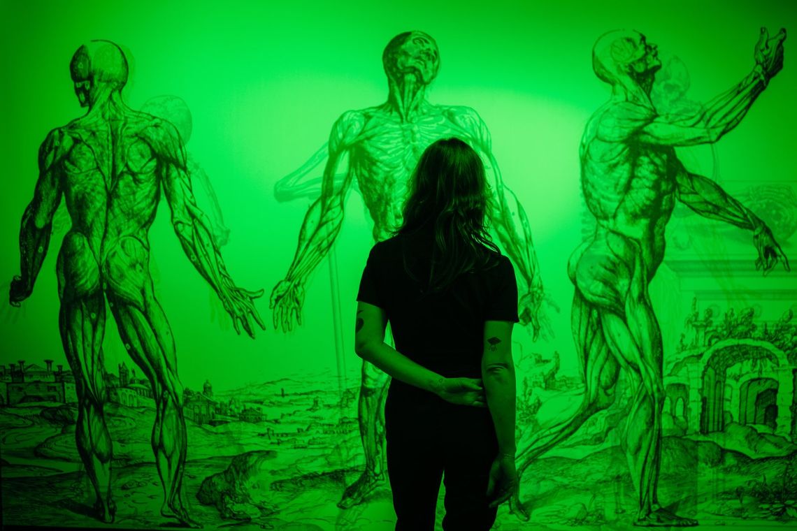 Under green light in RGB, a guest stands before three large anatomical figures drawn over a landscape.