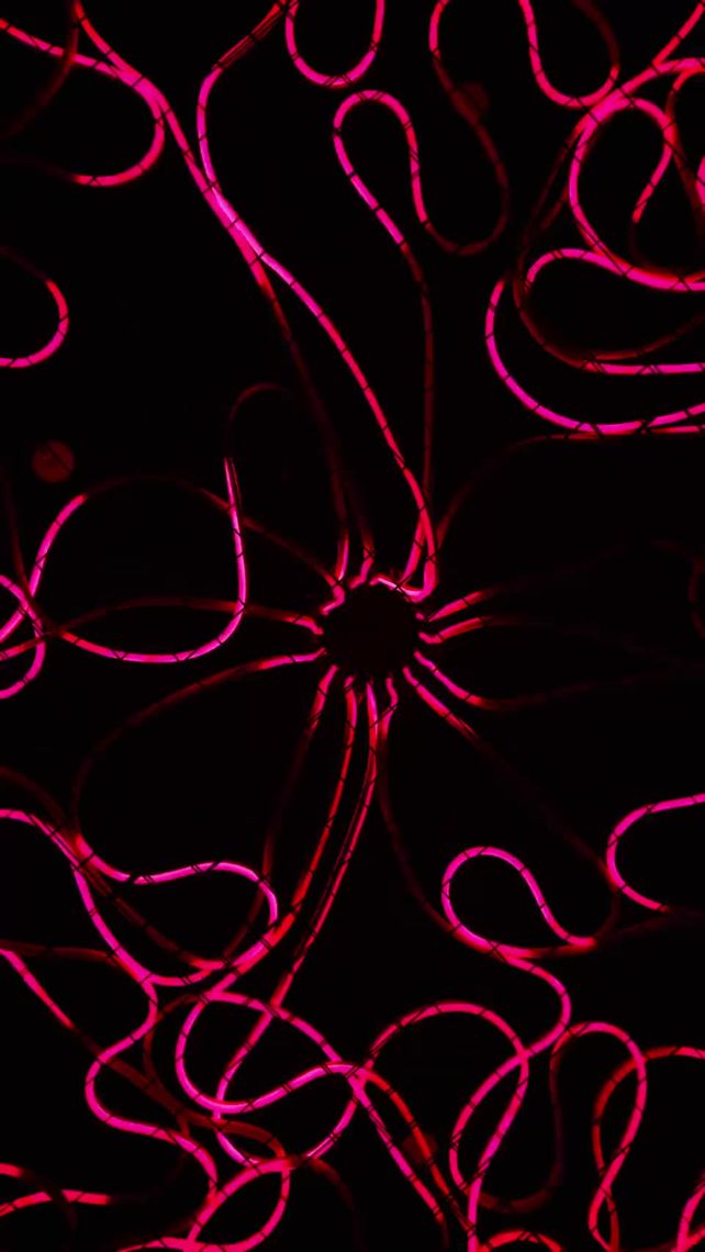 Look up first. Todd Moyer’s Medusa