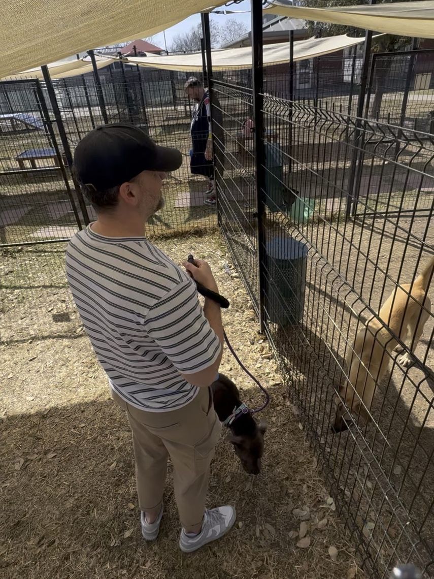 A Hopscotch team member walking a shelter dog on a lead beside a kennel yard