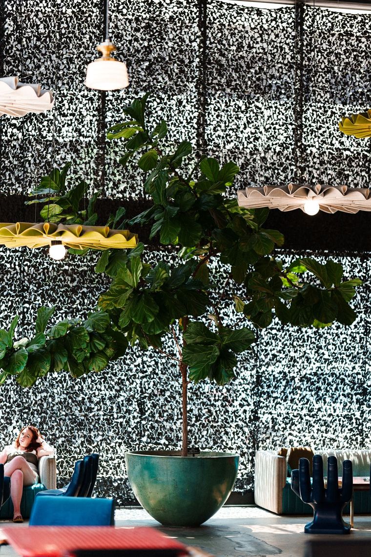 Under the canopy · San Antonio