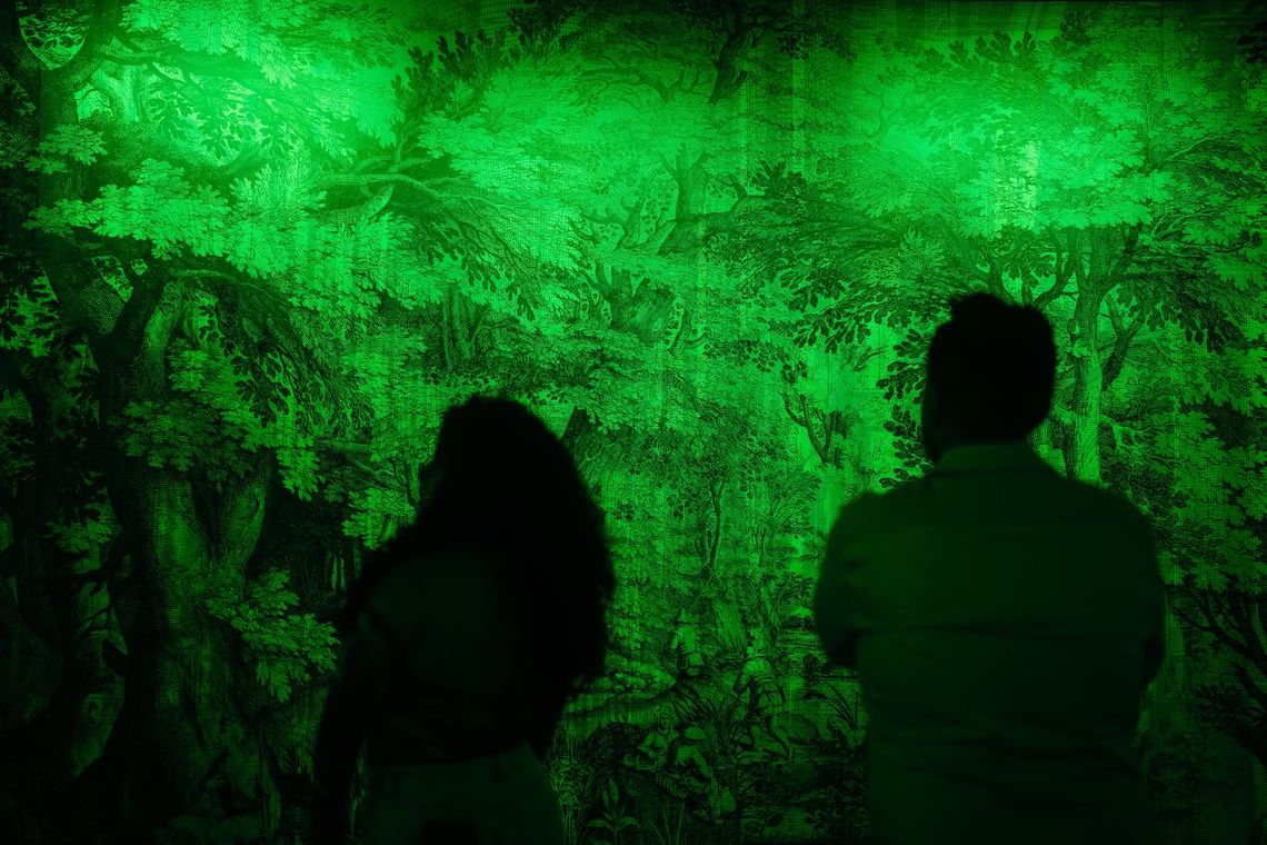 Green light in RGB brings out a dense forest drawing, two guests in silhouette in front of it.