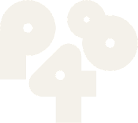 Project 48
