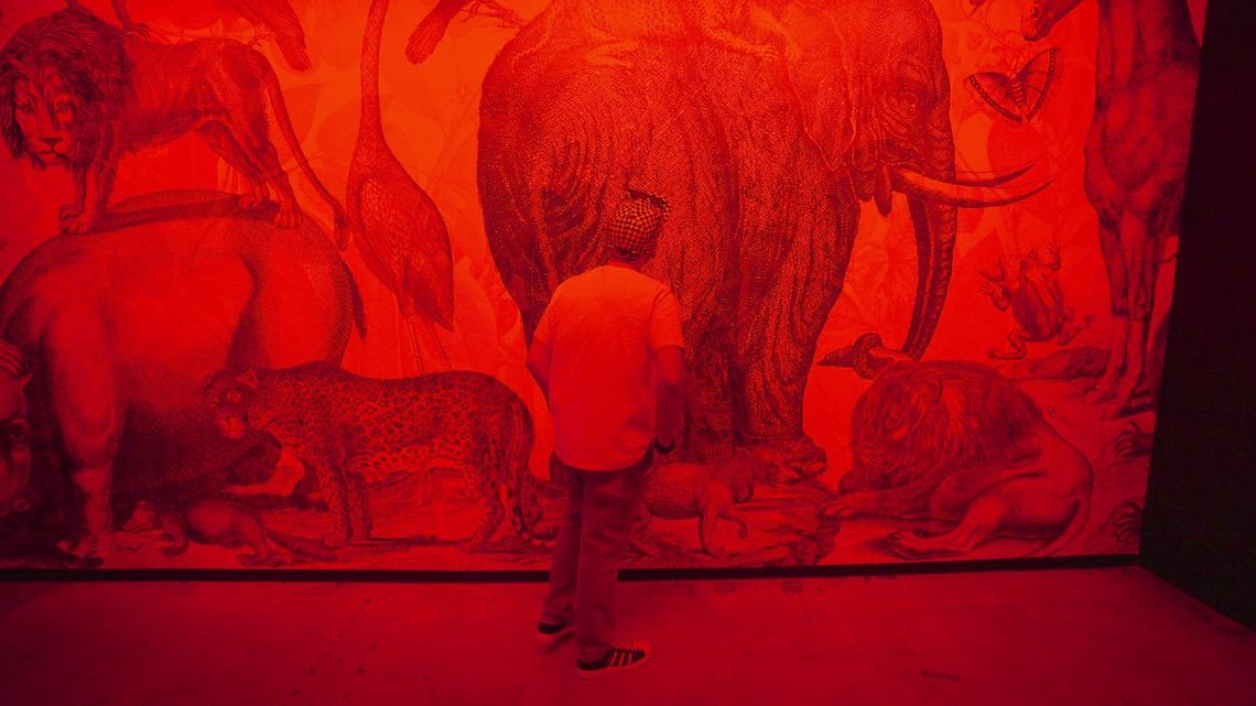 Red light brings out the elephant and animal mural, a guest looking up at it.